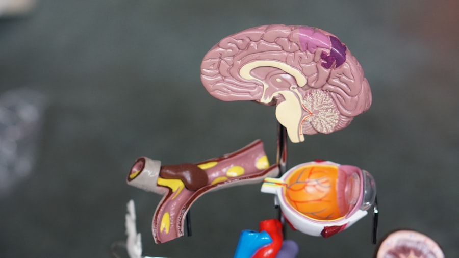 Innowacje w kuchni neuromodulacyjnej