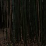 Innowacje w kwantowej teleportacji 9 Photo Quantum teleportation