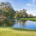 Rozwój technologii plazmoniką: nowe możliwości i zastosowania 2 Photo Plasmonic Nanoparticles