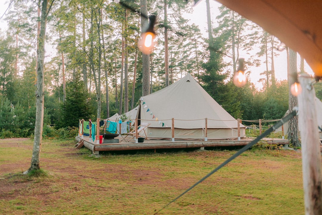 Przyczepy kempingowe lekkie: idealne rozwiązanie dla podróżujących 1 Photo camping trailers