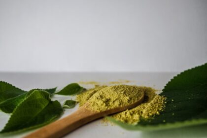 Kratom: kompletny przewodnik po działaniu, dawkowaniu i ryzyku 1 Kratom: kompletny przewodnik po działaniu, dawkowaniu i ryzyku
